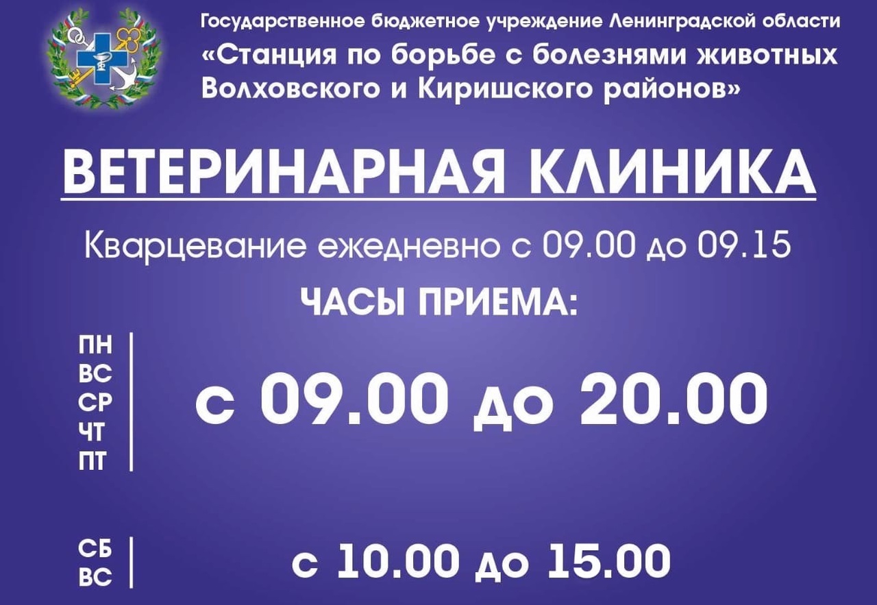 ГБУ ЛО «СББЖ Волховского и Киришского районов» - ГРАФИК РАБОТЫ ВОЛХОВСКОЙ  ВЕТКЛИНИКИ!